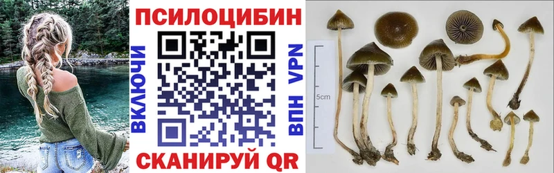 Галлюциногенные грибы Cubensis  Бокситогорск 